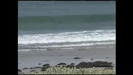 Encuentran cuerpo en las cercanías de Big Sur