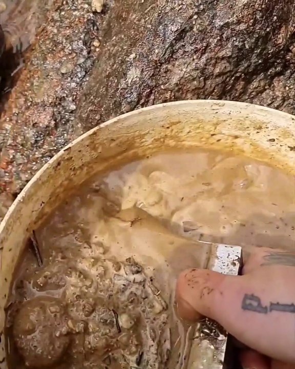 Amazing Gold scoop