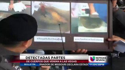 Buscan a los responsables de robo
