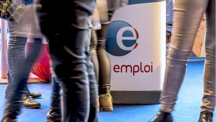 Une chômeuse prend sa conseillère Pôle emploi pour une escroc