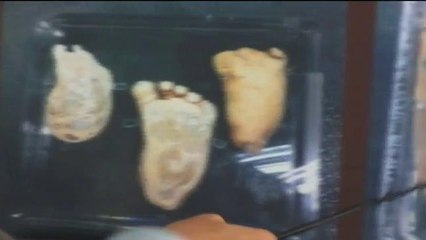 Buscan a los responsables de robo