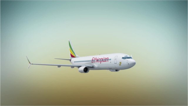 Boeing 737 Max : des prestataires sous-payés derrière le bug