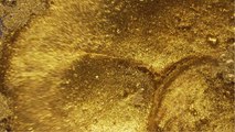 Le lingot d'or se hisse à 50.000 euros, porté par le coronavirus