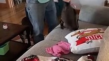 Diaper Duty!!