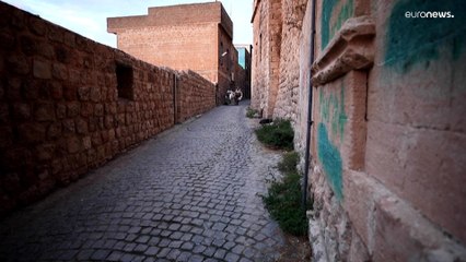 شاهد: حمير تستمع إلى بيتهوفن وتجمع النفايات في ماردين التركية خلال دوامها الرسمي