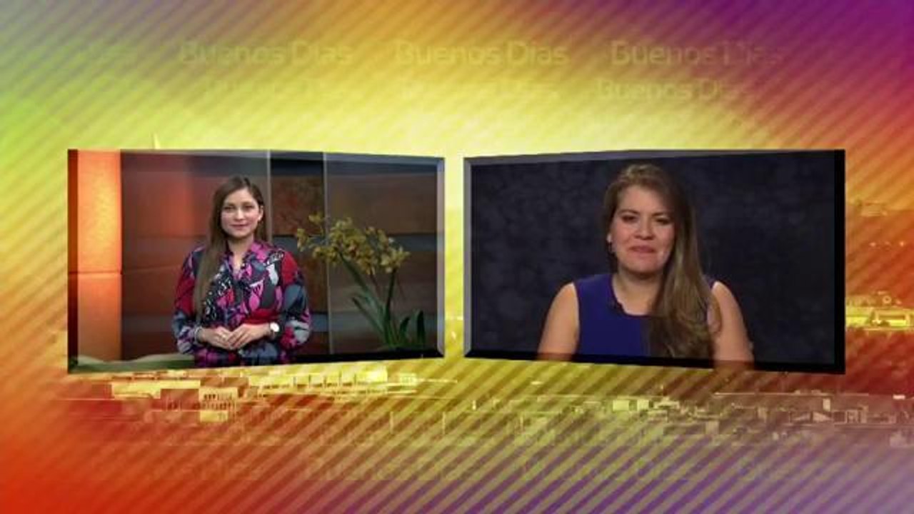 Medidas preventivas contra la influenza