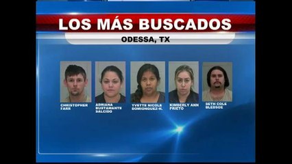 Los cinco más buscados de la semana