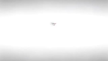 Baile Privado Navideño