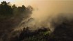 Amazonie : pourquoi les incendies risquent d’avoir un impact sur l’économie du Brésil