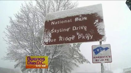 Cancelan vuelos en Aeropuerto de Virginia