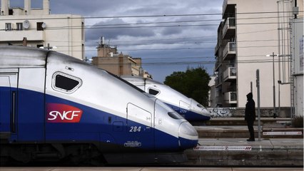 Trains inréservables, complets mais vides... les bugs de la SNCF dénoncés par une association d’usagers