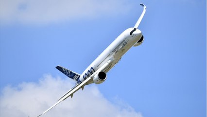 Quand Airbus S'inspire D'un Oiseau Pour Ses Avions (1)