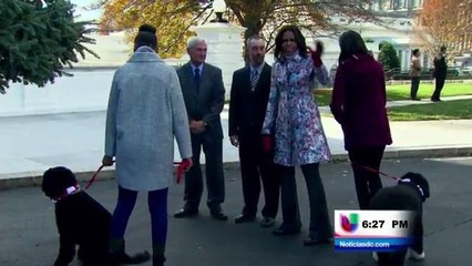 Preparativos de Navidad en la Casa Blanca