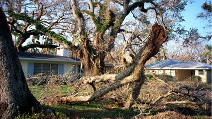 Franchise d’assurance habitation