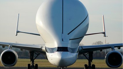 Le Beluga XL est trop grand pour certains hangars d'Airbus