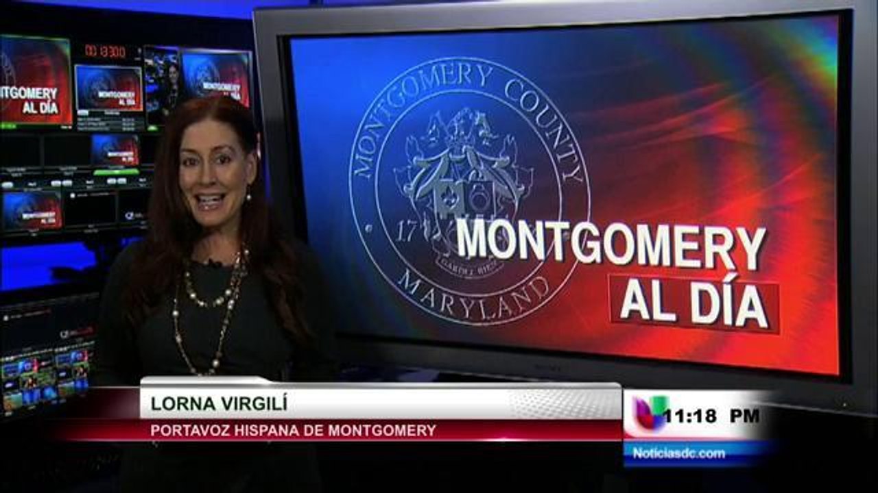 Montgomery al día