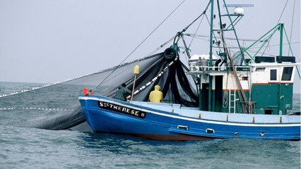 La colère monte contre les deux chalutiers géants de la Manche