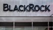 Réforme des retraites : la distinction surprenante du patron de BlackRock