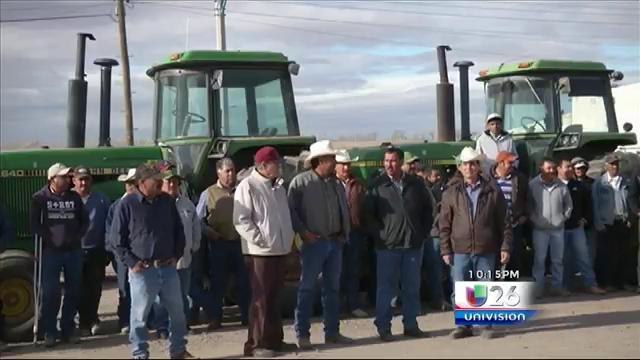 Campesinos de Ascención luchan por salvar sus cosechas