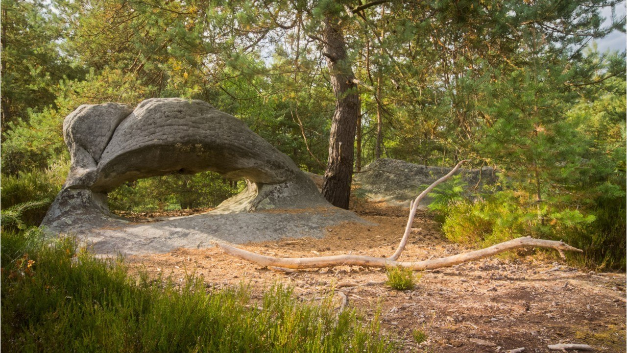 Près de Fontainebleau, des pollueurs piégés par...