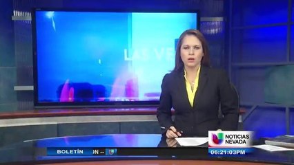 Camios de Programación