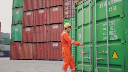 Un sac hors de prix détruit par les douanes en Australie