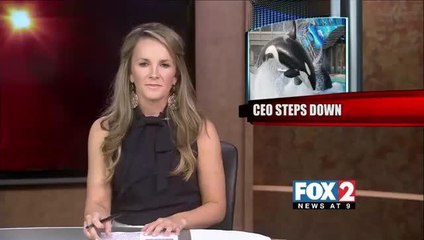 SeaWorld CEO Makes Big Splash with Even Bigger Announcement