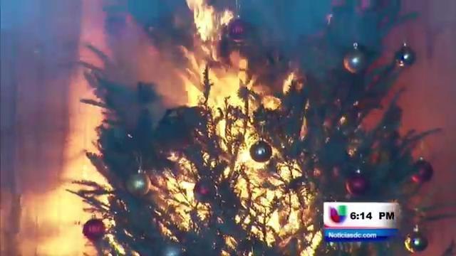 El peligro de incendios con los árboles navideños