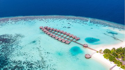 Un hôtel de luxe aux Maldives propose un forfait "télétravail"