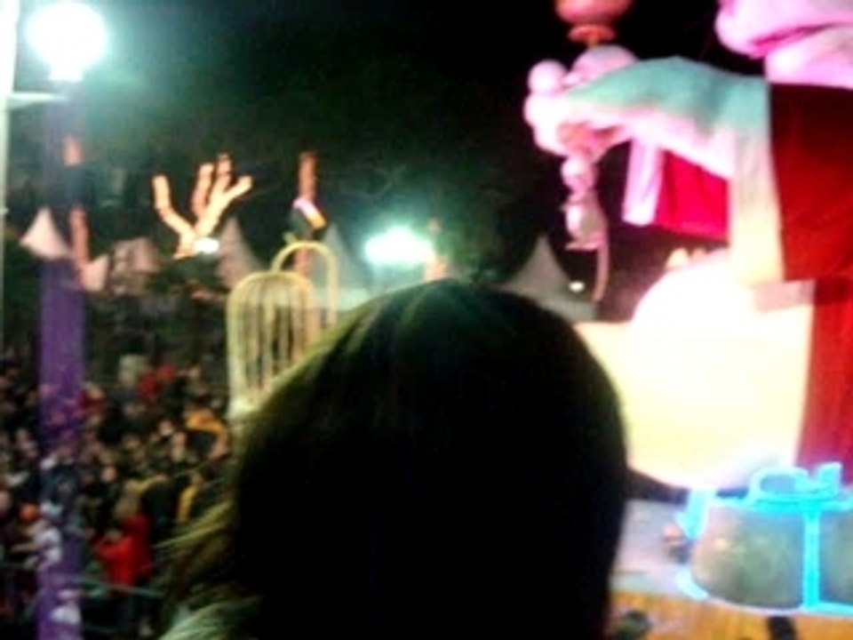 carnaval de nice, incinération du roi, feux d'artifices