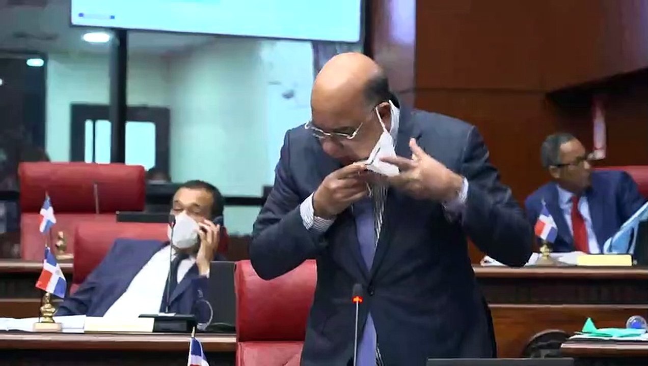 Bauta Rojas: “están entregando la Policía Nacional al sector privado”