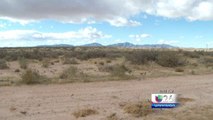 Arrestarán a quien tire pinos y basura navideña en el desierto