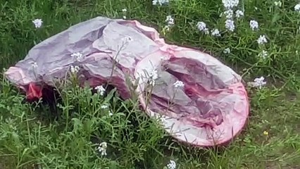 Barletta: lanterna volante cade sul lungomare, territorio a rischio per un'usanza dannosa