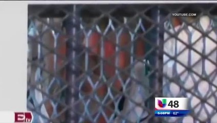 Jueza del Estado Mexicano de Michoacán Inicio un Proceso Penal por Enfrentamientos