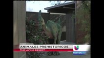 Animales Prehistoricos En El Zologico