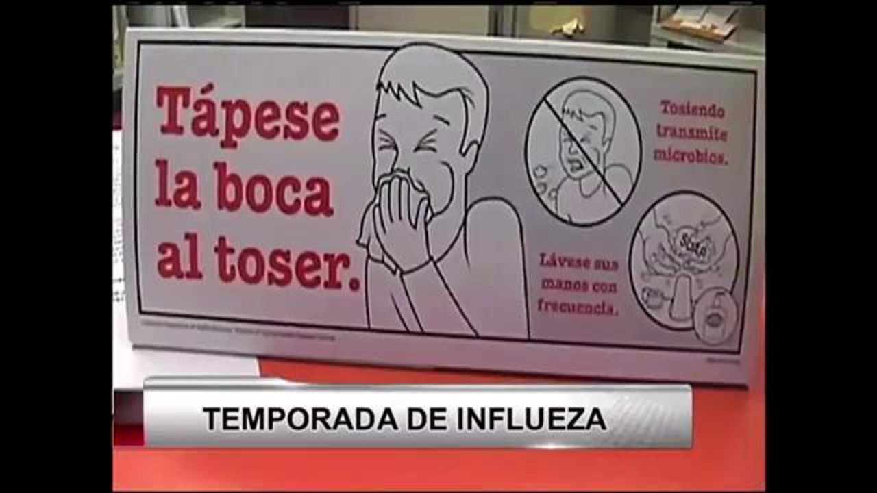 Temporada de la gripe