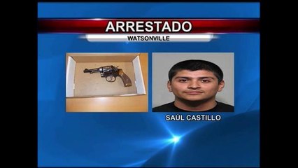 Autoridades logran arresto y decomisan arma de fuego