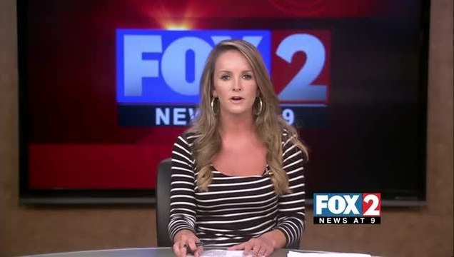 Authorities Investigating String of Auto-Related Thefts Across Harlingen