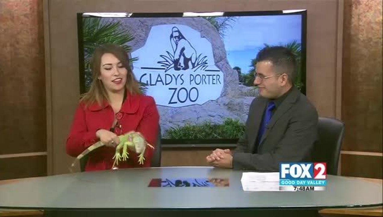 Glady\'s Porter Zoo