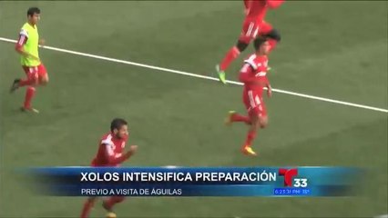 Xolos se preparan para enfrentarse al América