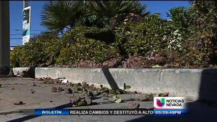Encuentran hombre sin vida entre arbustos