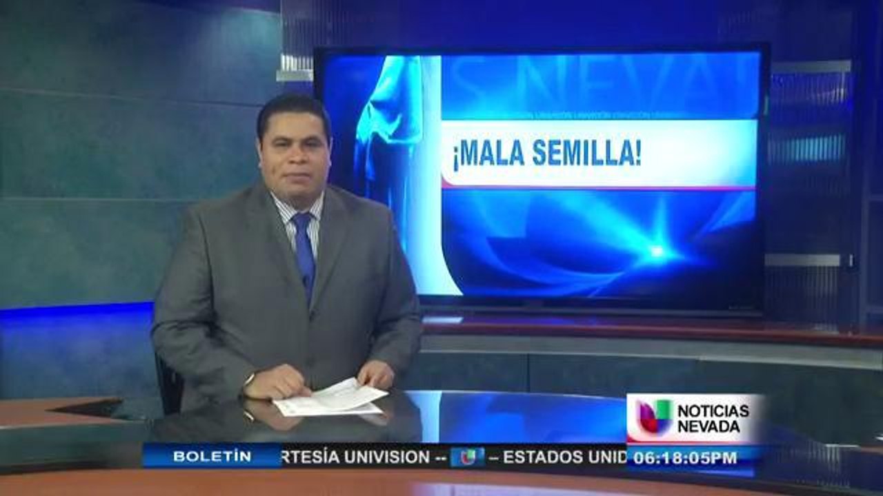 Mala Semilla PT 2