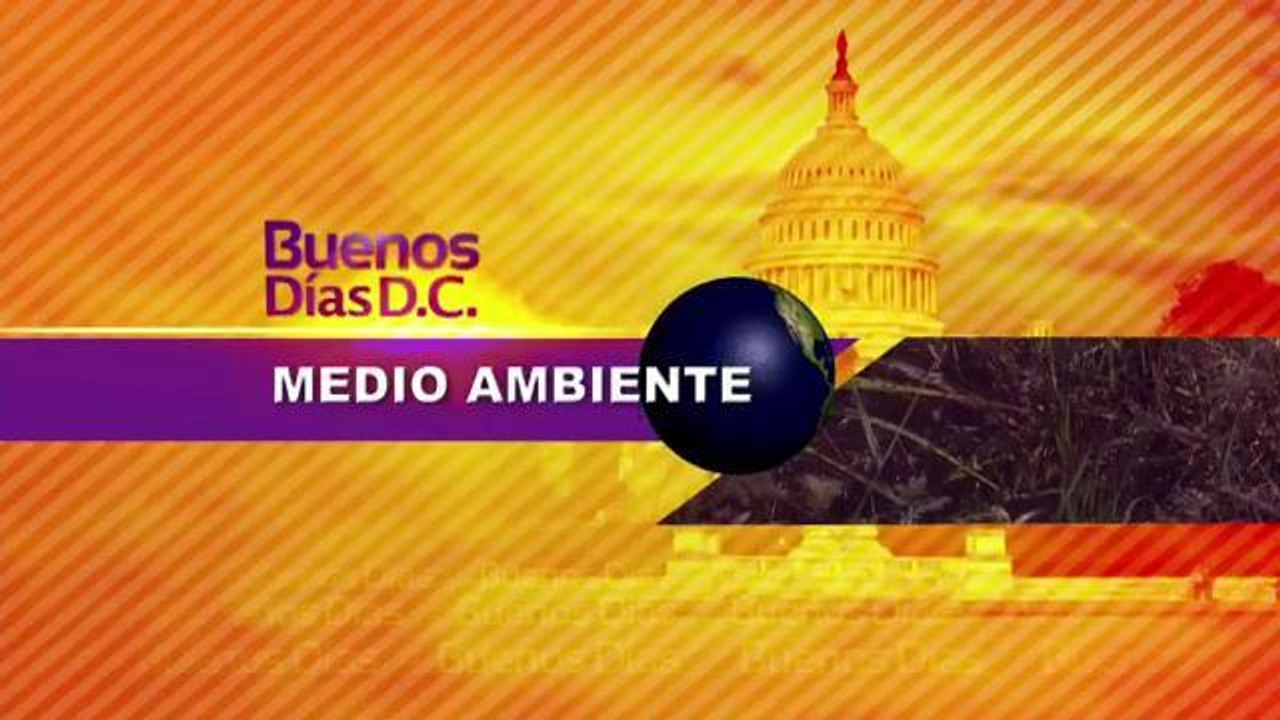La importancia del reciclaje