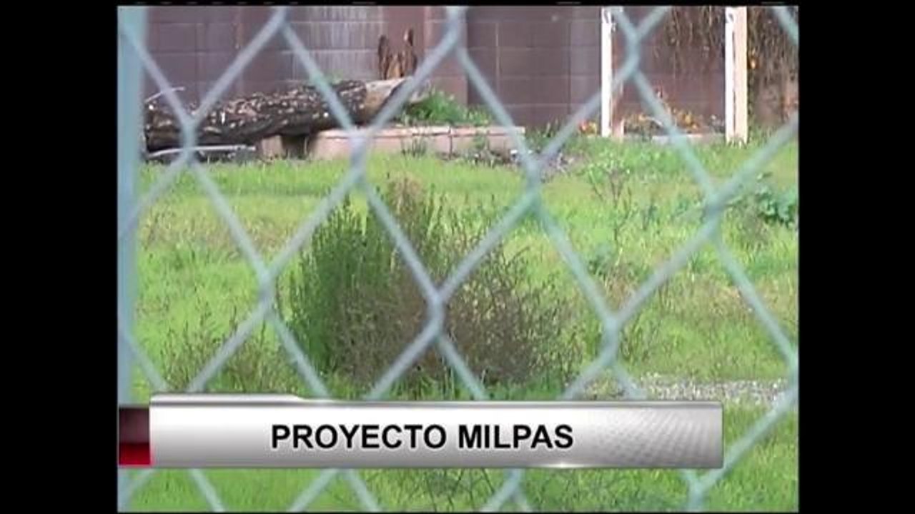 Proyecto tiene sus pros y sus contras