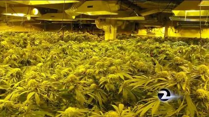 Gilroy Furniture Store Front For Pot Grow Operation