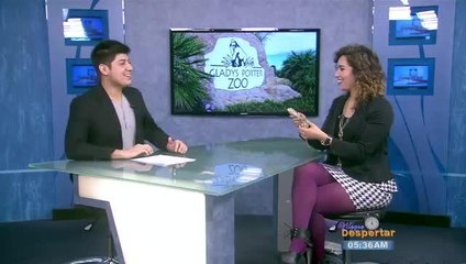 Gladys Zoo