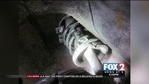 Smuggled Immigrants Found Inside Vehicle