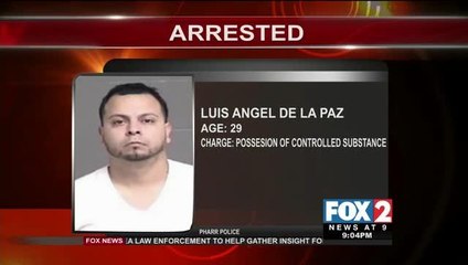 Police Stop Leads to Drug Bust