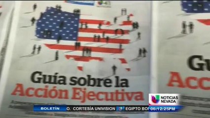 Guía sobre la acción ejecutiva