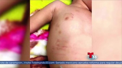 Uso de drogas puede generar violencia doméstica en hogares